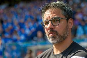 England: Wagner-Klub Huddersfield holt Niederländer Bacuna