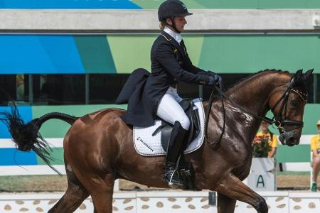 Krajewski in Luhmühlen nach der Dressur vorne - Klimke Dritte