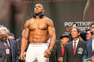 Boxen: WBA fordert Joshua-Kampf gegen Powetkin