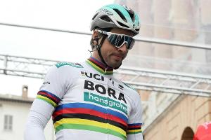 Sagan über Cavendish-Crash: "Ich würde es wieder so machen"