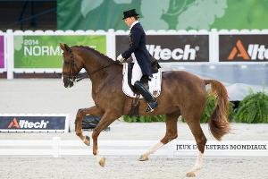 CHIO Aachen: Werth und Bella Rose gewinnen Grand Prix Special