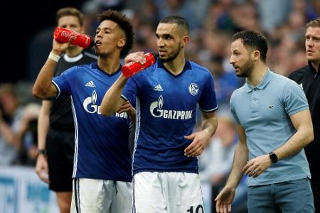 Schalke verliert bei Tedescos Rückkehr nach Aue