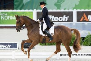 Weltreiterspiele: Dressur-Equipe mit Bella Rose und Cosmo