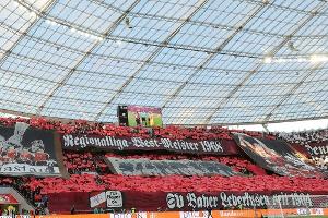 Medien: DFB mit Gedankenspielen über Einsatz von Spielaufsehern