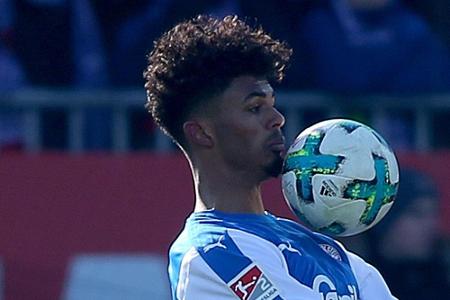 Weiter ungeschlagen: Kieler Störche klettern auf Rang drei