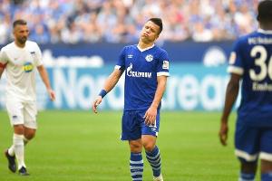 Ein Spiel Sperre für Schalkes Konopljanka