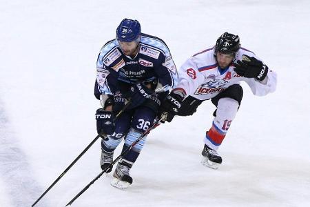 DEL: Eisbären Berlin verpflichten Stürmer Jaspers