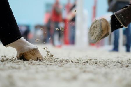 Nach Chaos beim Distanzreiten: Pferd bei Reit-WM eingeschläfert