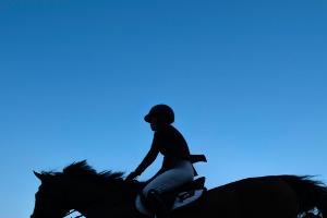 Zweites Pferd bei Weltreiterspielen eingeschläfert