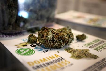 8 Cannabis_ZUMA Press.jpg