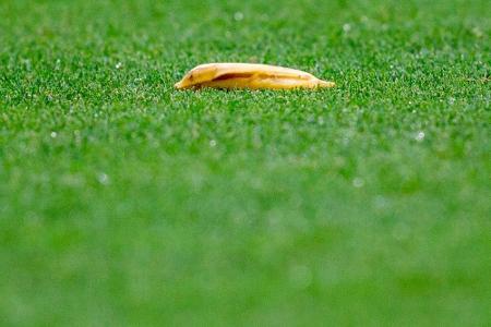 Spurs-Fan nach Bananenschalen-Wurf nicht wegen Rassismus angeklagt