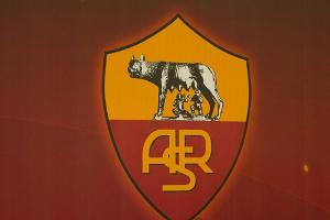 Roma-Anhänger zu dreieinhalb Jahren Gefängnis verurteilt