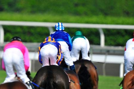 Großbritannien: Galopprennen wegen Pferdeinfluenza abgesagt