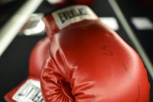 Unbesiegter Prograis neuer Box-Weltmeister der WBA