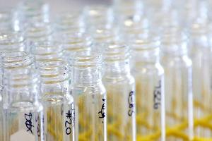 Kronzeugenregelung: Einführung vielleicht doch erst 2020