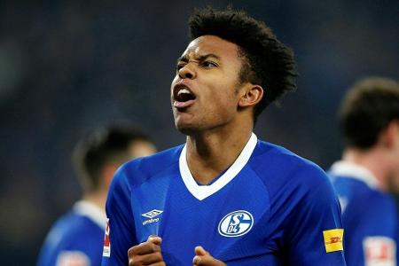 Schalke hofft auf McKennie und Sane in Nürnberg