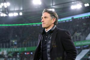 Labbadia: "Habe noch nirgendwo zugesagt"