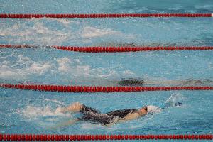 Schwimmen: Berlin wird wieder Weltcup-Station