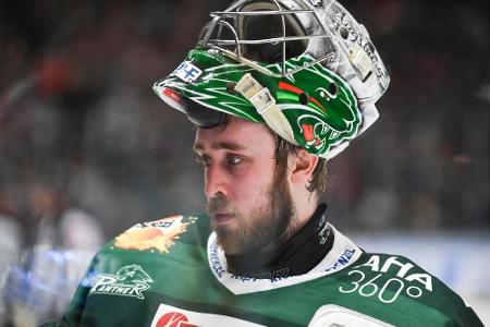 DEL: Torwart Roy bleibt in Augsburg