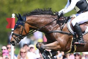 Reiten: FN beschließt Maßnahmen gegen Alkoholmissbrauch und sexuelle Übergriffe