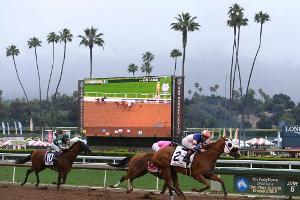 Schlimme Serie geht weiter: 26. Todesfall auf Galopprennbahn Santa Anita