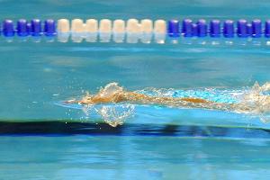 Sexuelle Belästigung: Ungarischer WM-Schwimmer verhaftet