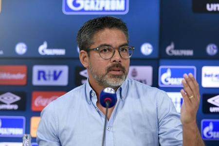 Neu-Trainer Wagner fordert Zusammenhalt: 