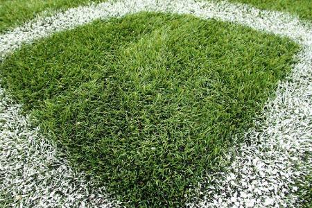 3. Liga: Mannheim feiert ersten Saisonsieg