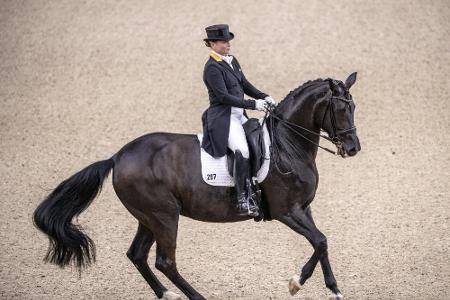 Die Sport-Höhepunkte am Montag, 19. August 2019