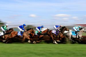 Galopp: Außenseiterin Diamanta gewinnt Stutenderby