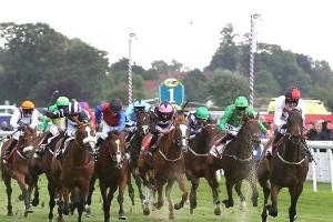Galopp: Royal Intervention gewinnt Goldene Peitsche
