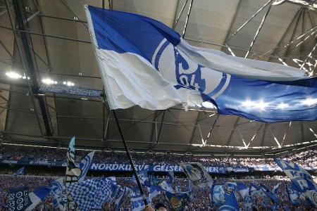 Nach Elfmeter-Diskussion: Schalke-Fan zeigt Schiedsrichter an