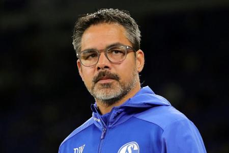 Schalke-Trainer Wagner: 