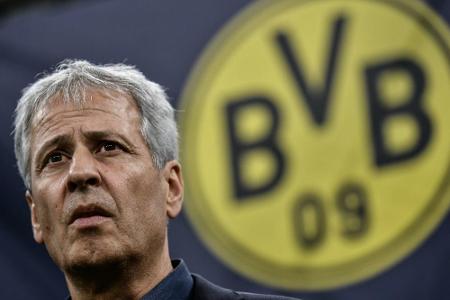 Rückendeckung für Favre: 