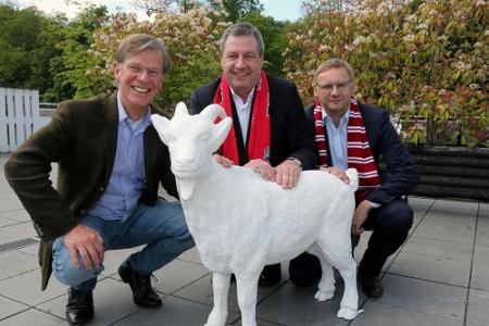 1. FC Köln: Vorstandswahl am Sonntag im Fokus