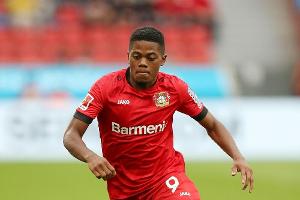 Leverkusen vier Wochen ohne Bailey