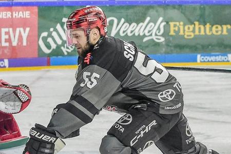 Rückkehr zu den Haien? Schütz liegt Angebot aus Köln vor