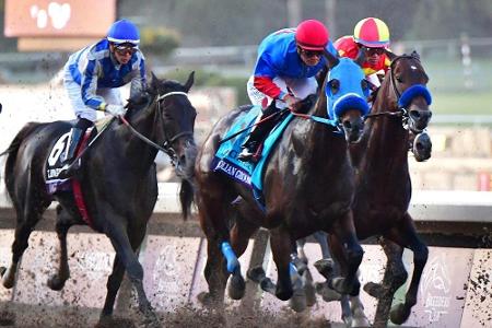 Breeders' Cup: Nächster Todesfall im Santa Anita Park