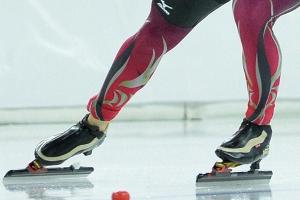 DESG-Präsidentin Teeuwen tritt zurück - Pechstein fordert Große