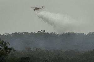 Australien: ATP-Cup-Organisatoren befürchten Auswirkungen der Buschbrände