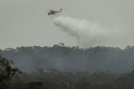 Australien: ATP-Cup-Organisatoren befürchten Auswirkungen der Buschbrände