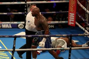 Boxen: WBC ernennt Whyte zum Pflichtherausforderer