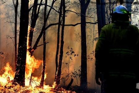 Buschbrände: ITF und Grand-Slam-Turniere spenden 400.000 Dollar