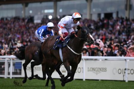 Dachverband für Galopprennsport heißt ab sofort 