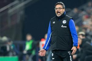 Keine Sperre für Schalke-Trainer Wagner: "Interpretationsirrtum des Schiedsrichters"