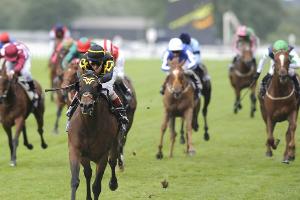 Galopprennsport will Rennbetrieb Anfang Mai wieder aufnehmen