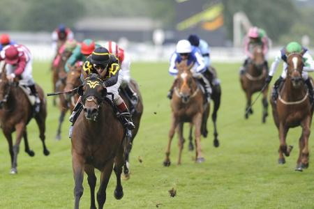 Galopprennsport will Rennbetrieb Anfang Mai wieder aufnehmen