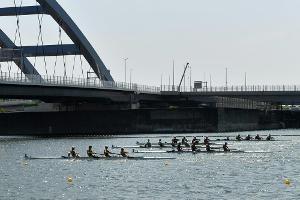 Rudern: Olympia-Qualifikation und Weltcup-Abschluss abgesagt