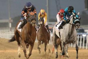 Galopp: Millionenschwerer Dubai World Cup abgesagt