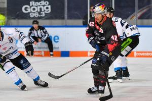 DEL: Ice Tigers verpflichten DEL2-Stürmer